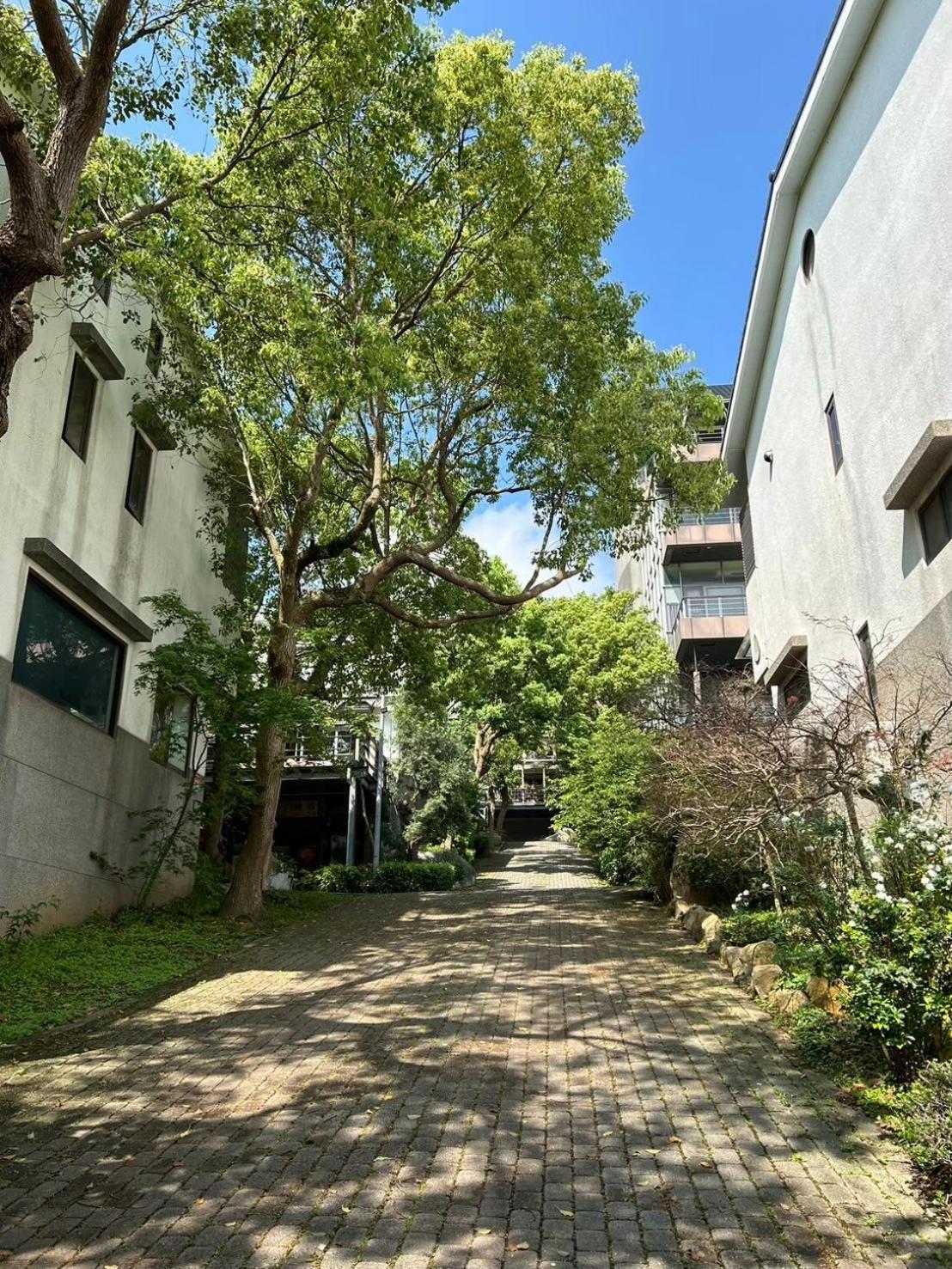 Miaoli Sanyi Travelling Homestay Luaran gambar